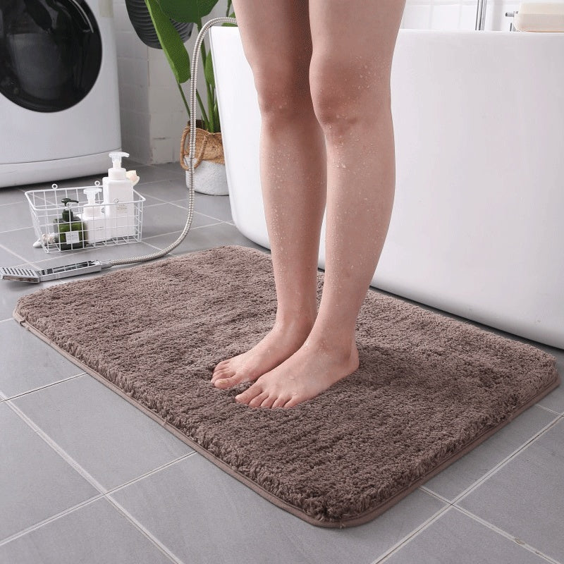 Household Floor Doormat