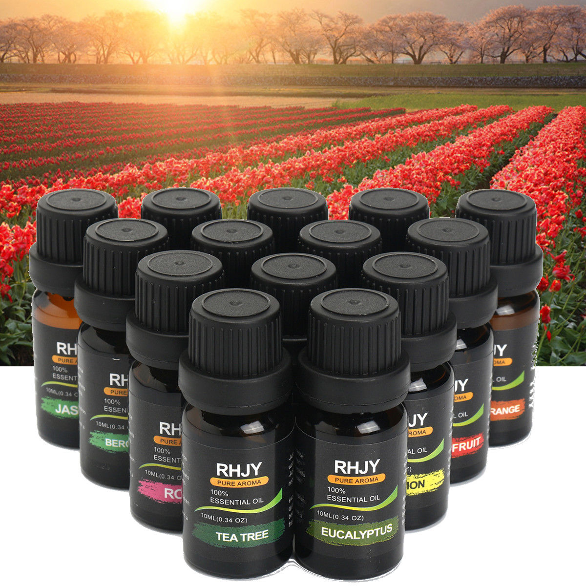 Aromatherapy Essential Oil Set